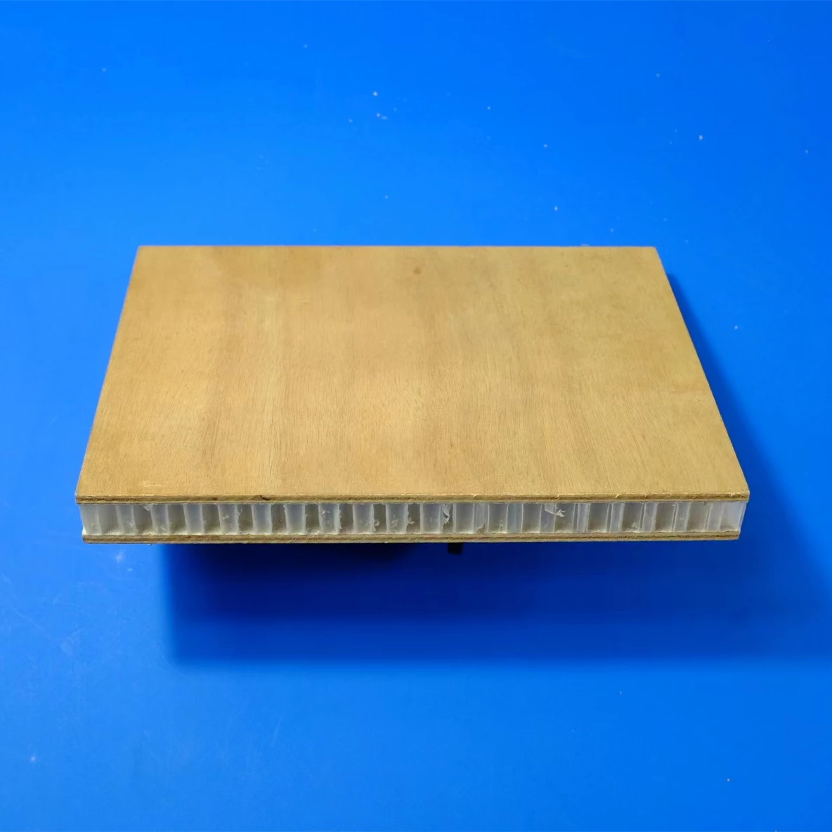 Structural PP Honeycomb Fiberglass Reinforced Plastic Laminated Floor Panel