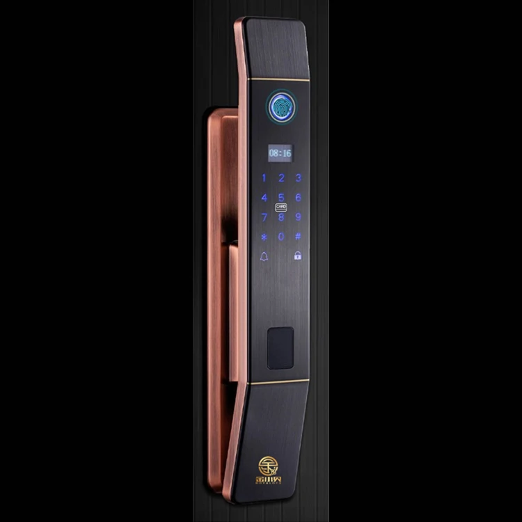 wholesale oem outdoor password electronic audio fingerprint gate smart digital door lock with camera