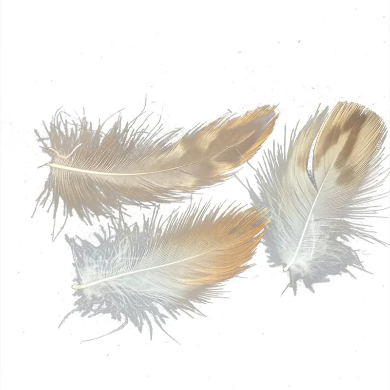 Factory wholesale high quality odorless high clean washed duck feather high flexibility of home textile items filling materials