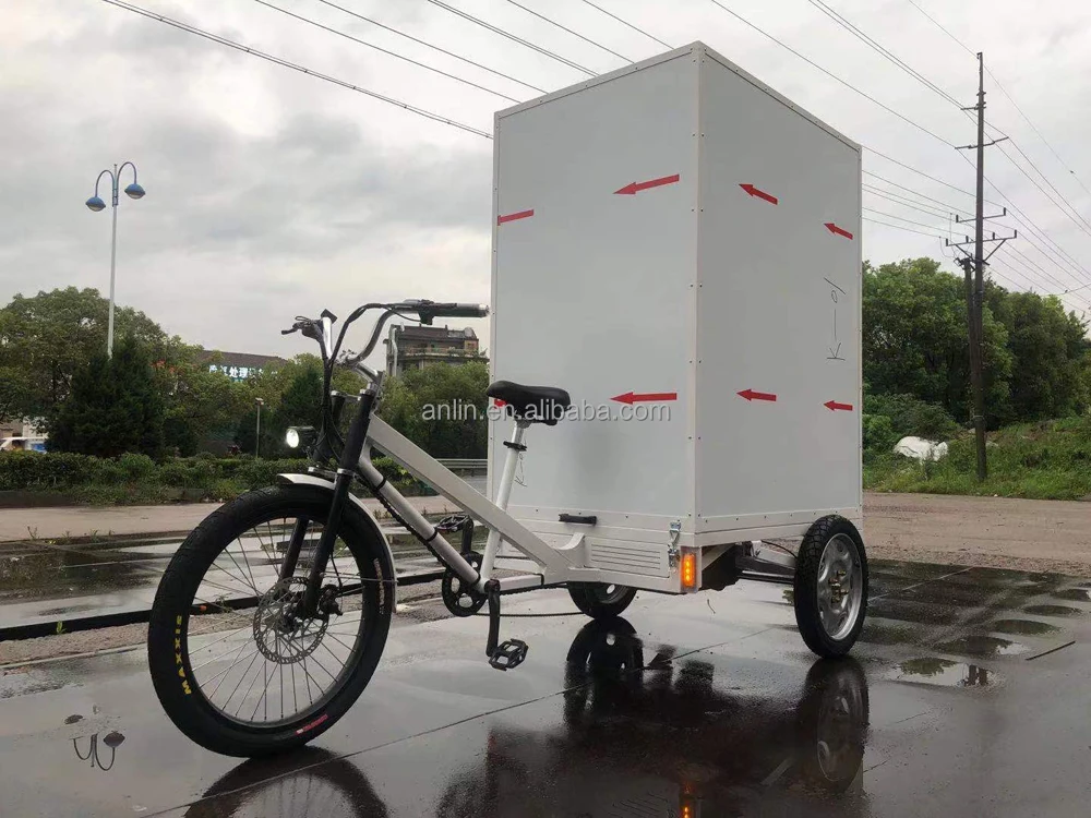 ESTER Cargo Tricycle on Sales Chinese Manufacturer Customized in 2017