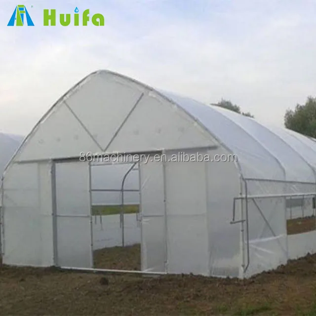 Industrial Single Span Mushroom Grow Tent Greenhouse Tunnel Polycarbon Light Dep Automatic Curtain Hydroponic Greenhouse Garden