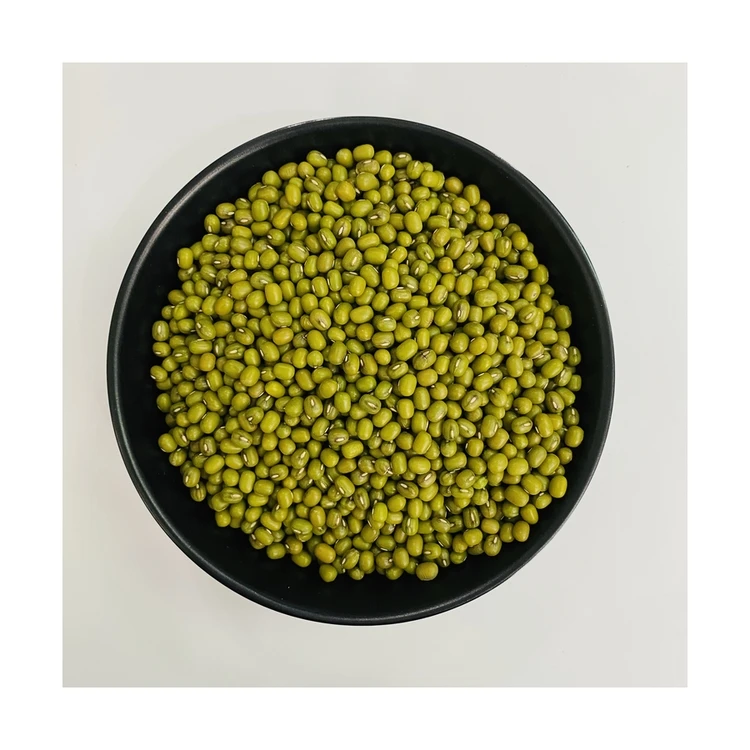 Оптовая продажа, зеленые бобы Mung высшего качества, средние зерна