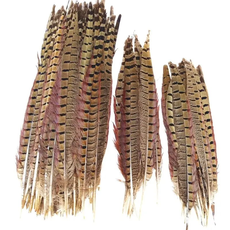 Natural 10-70CM Ringneck Pheasant Tail Feather for Craft headdress needlework table Plumes