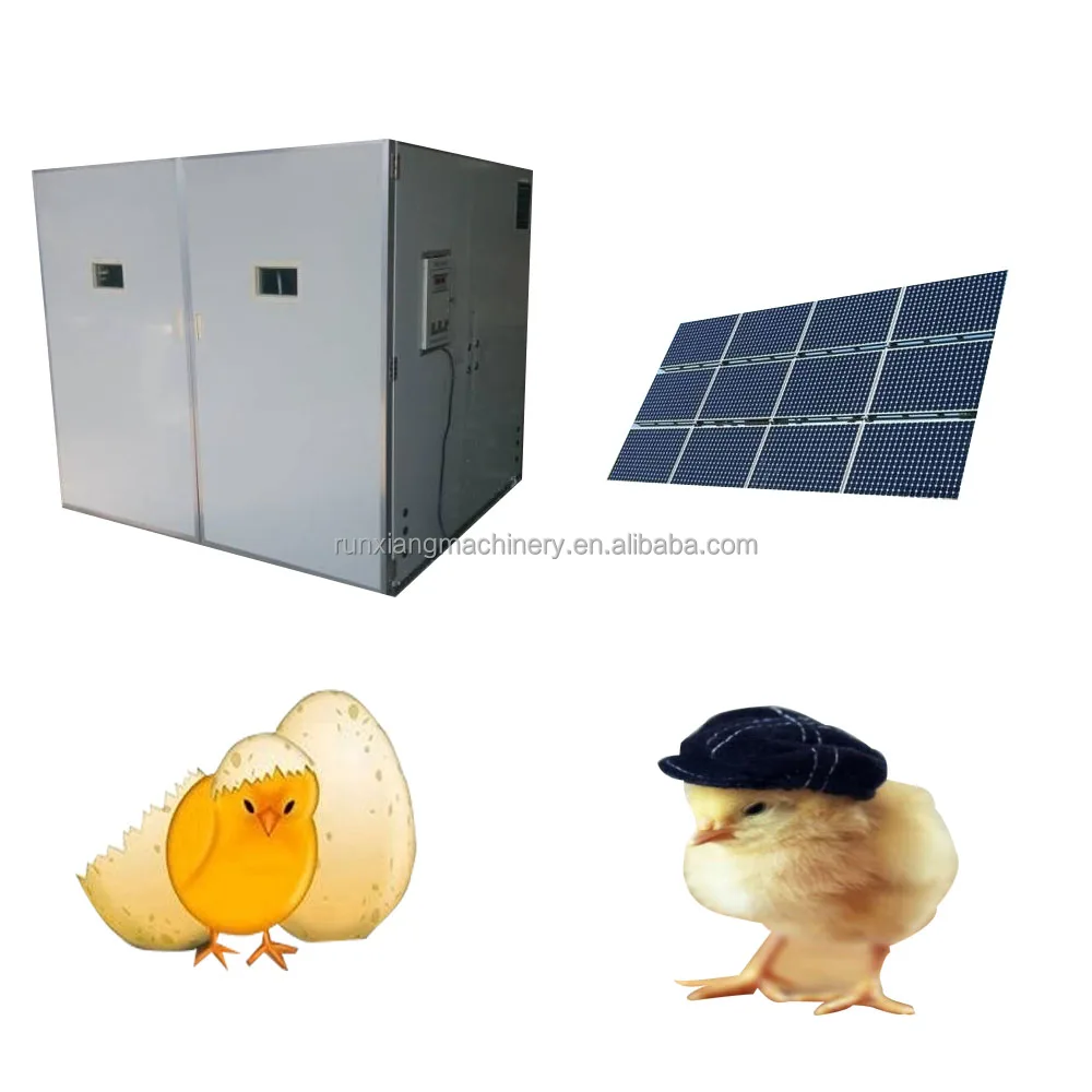Mini Automatic Solar Incubator Eggs Incubator Machine