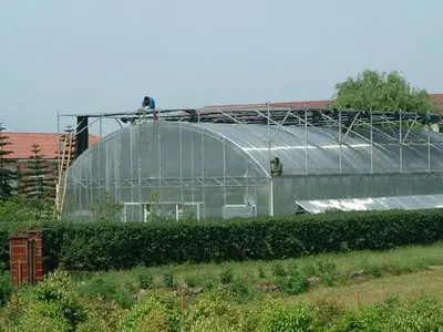 Greenhouse Plastic Film for Agricultural Usage and Greenhouse Film Tunnel Greenhouse Plastic film for Vegetables/Flowers