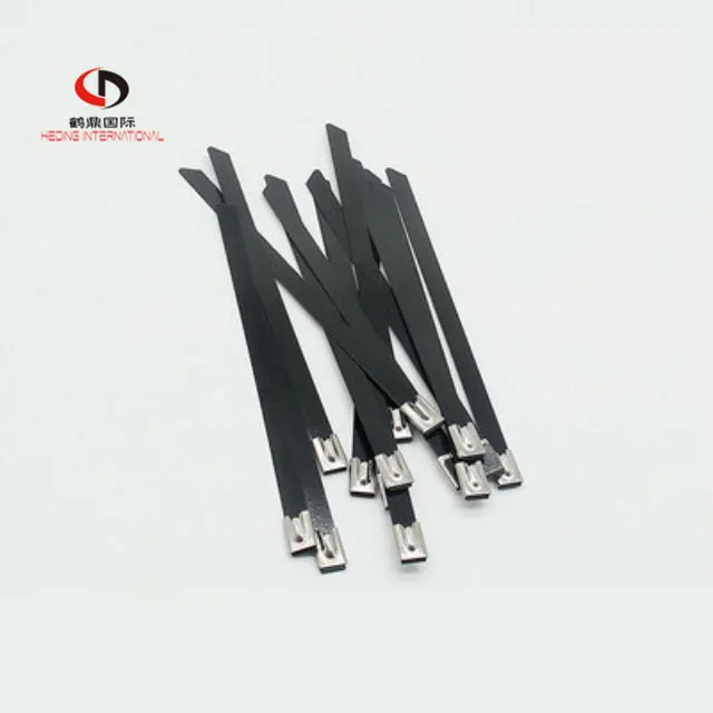 TJHD 16MM Plastic sprayed stainless steel tie 21123