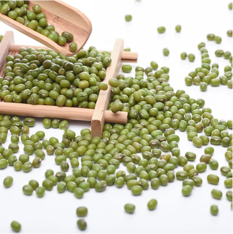 High quality wholesale Chinese high quality mung beans, easy to cook and easy to rot