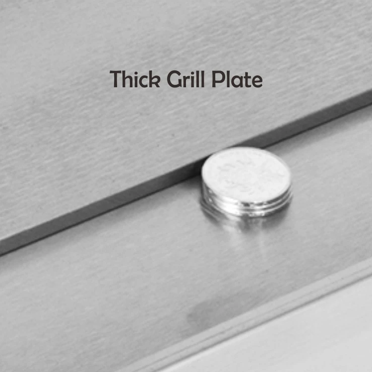 LG Series Commercial Stainless Steel Gas Fryer High Quality Griddle with Deep Fryer Factory Price for Restaurant Use