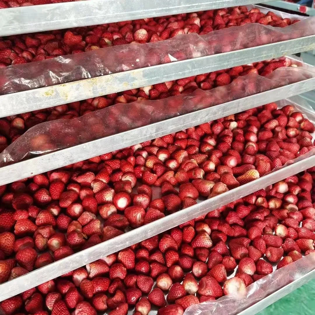 Customized Wholesale Sweet Snack Frozen Strawberry Fruit Bulk Fd Fruit Dried Whole Strawberry
