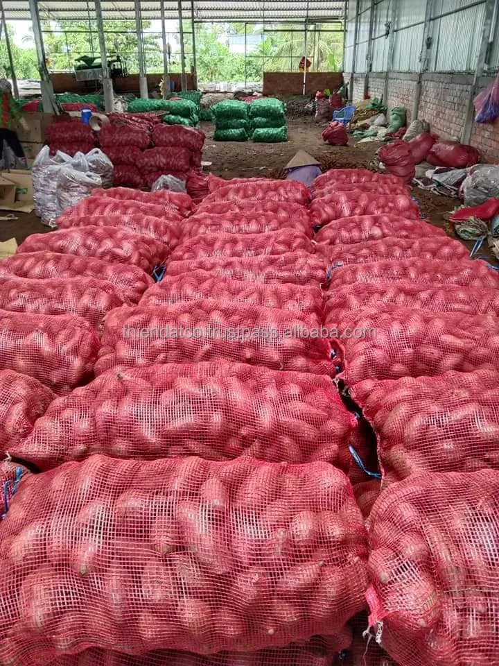 Оптовая продажа вьетнамские органические мягкие овощи Натуральный Свежий японский сладкий картофель с сетчатым мешком/картонная коробка для еды/готовки/пекарни