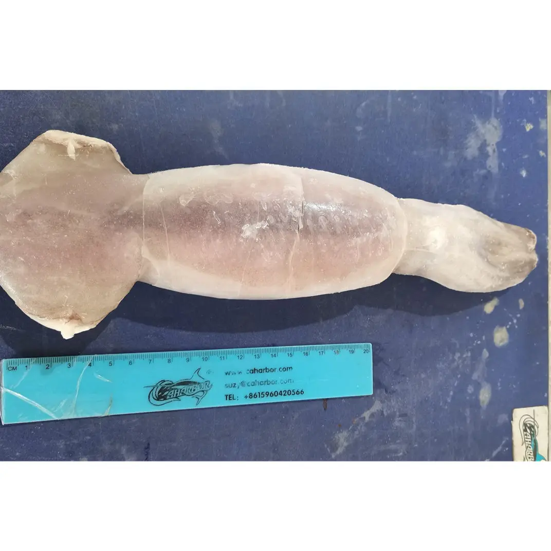 good quality IQF peru Indian ocean squid dosidicus gigas giant squid