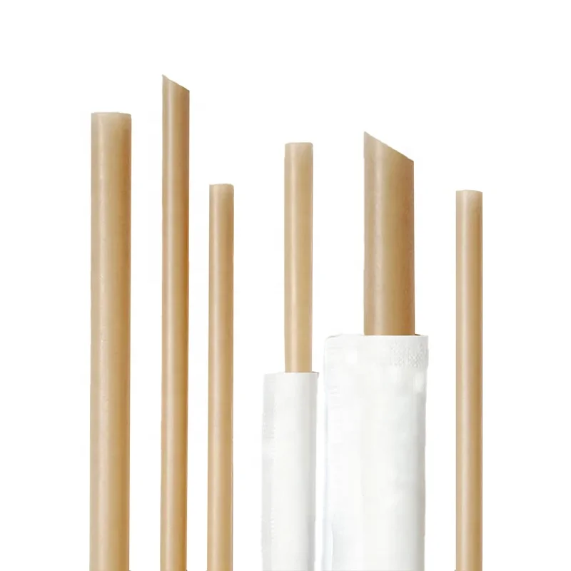 BIOSANO 6mm 8mm 10mm 12mm Sugarcane Bagasse Straws Biodegradable Plastic Free Eco-Friendly Compostable Drinking Shakes Straw