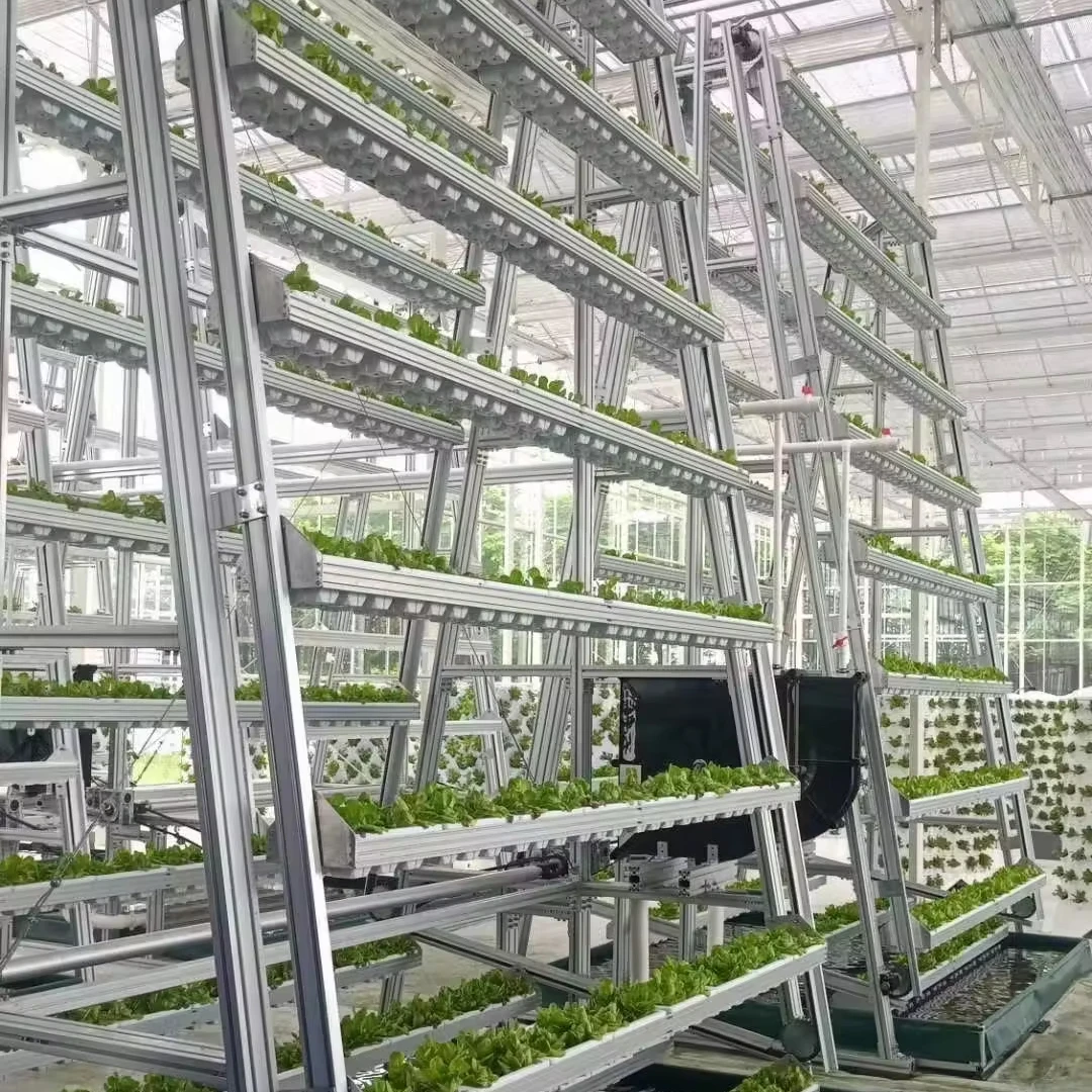 Custom Multi Tier Indoor Cultivation Plant Led Grow System Movable Rolling Vertical Farming Mobile Grow Rack System