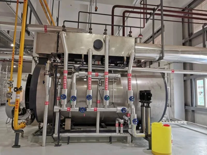 
Economic and reliable capacity 10 ton steam hot water condensing boiler 