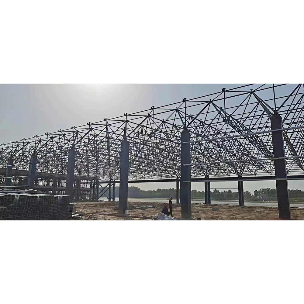 New Design and Structural Optimization of Long-Span Steel Space Frame Systems for Modern Aircraft Hangars