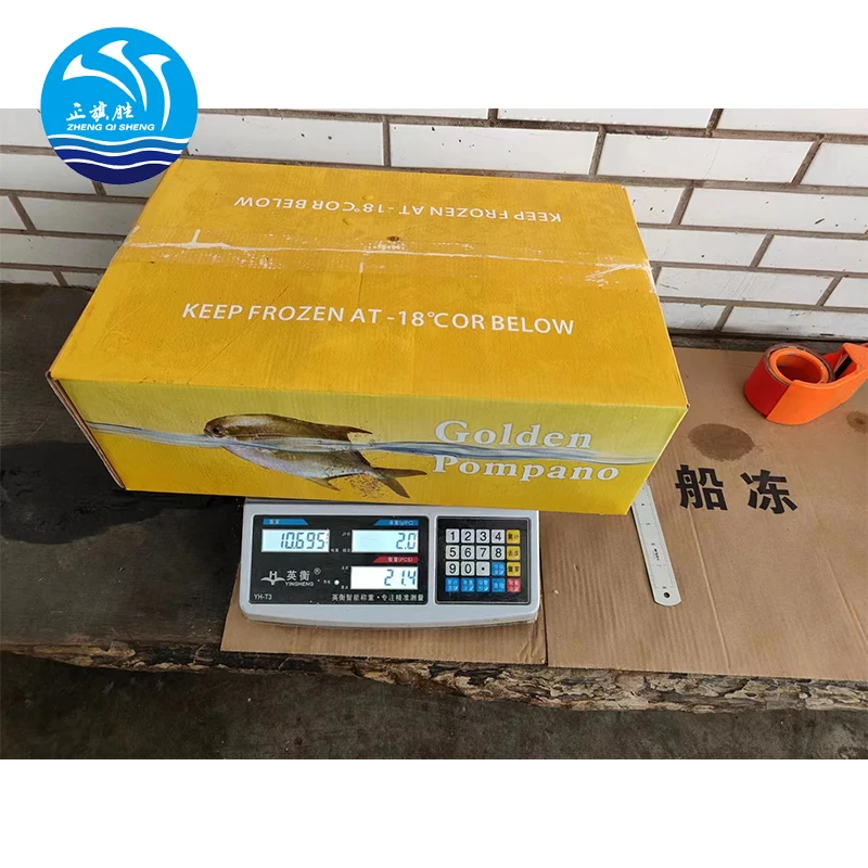 Frozen Fish Chinese Seafoods Golden Pompano Fish Golden Pomfret 300-400g 10kg/ctn with 24 Months Shelf Life