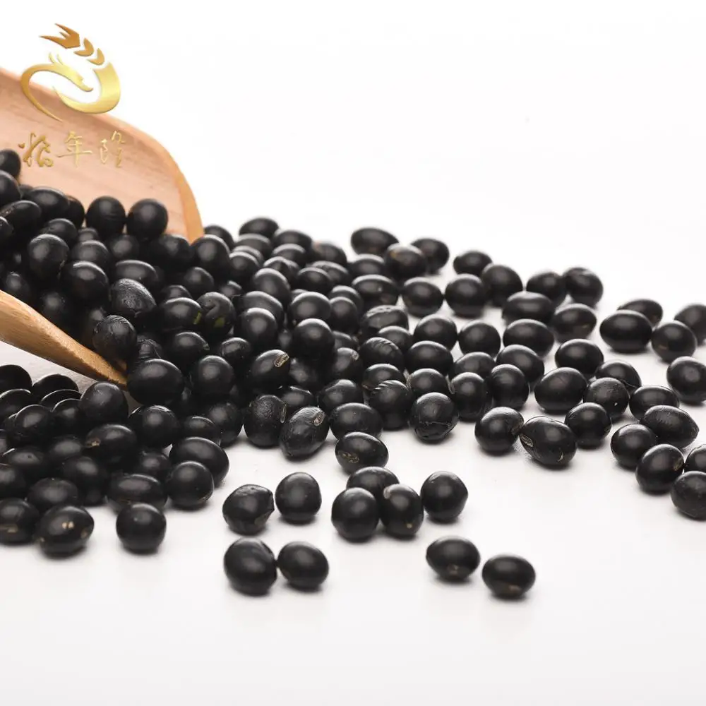 
High protein dry Organic Black Kidney Beans 