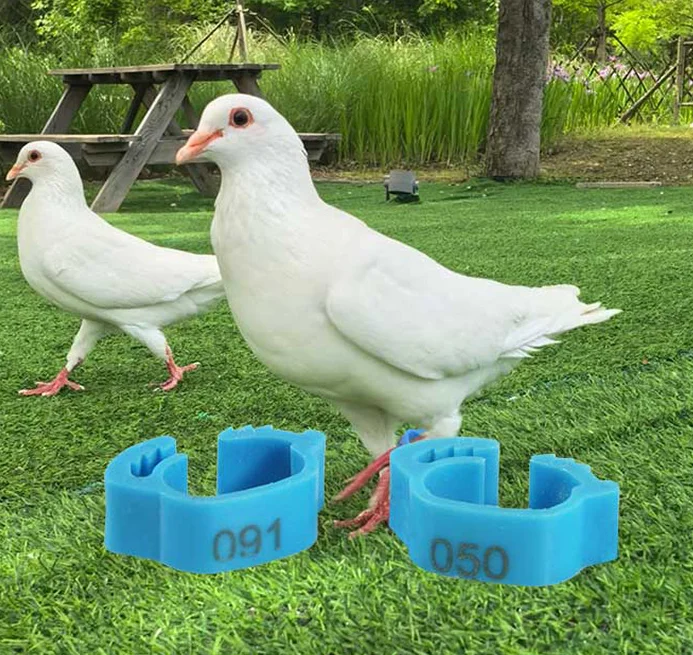Pigeon Leg Plastic Foot Clip Rings Band for Birds Chickens Tags Mixed Color pigeon foot ring