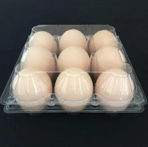 Wholesale Clear Pet 12 Eggs Plastic Tray