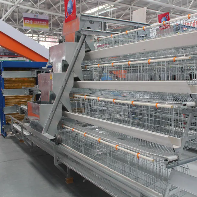 Automatic Chicken Cage With Manure Removal Machine