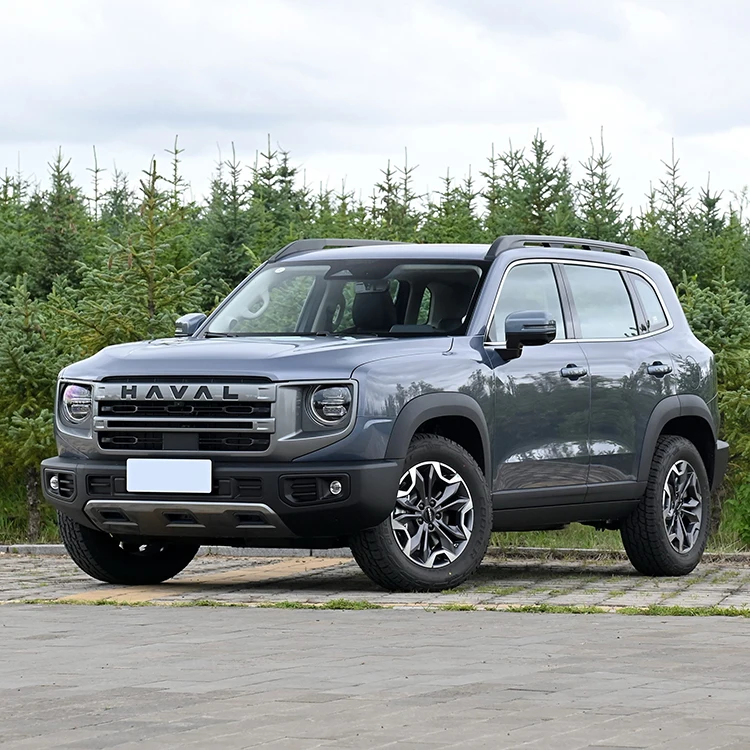 Haval большой грузовик для собак 2 0 т полноприводный свет салона с кожаными сиденьями ручной редуктор автоматический бензиновый привод dargo