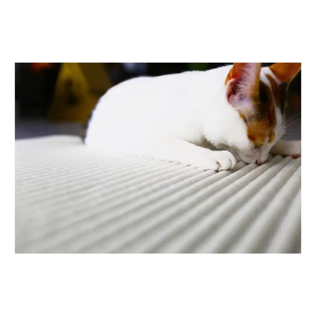 Eco-conscious kitty litter mat