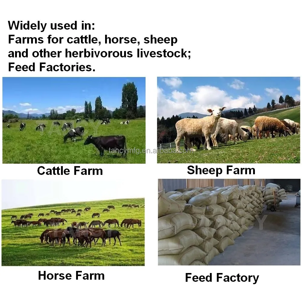 animal feed processing machine Cutter Chopper for Hay Crop Straw Silage Grass