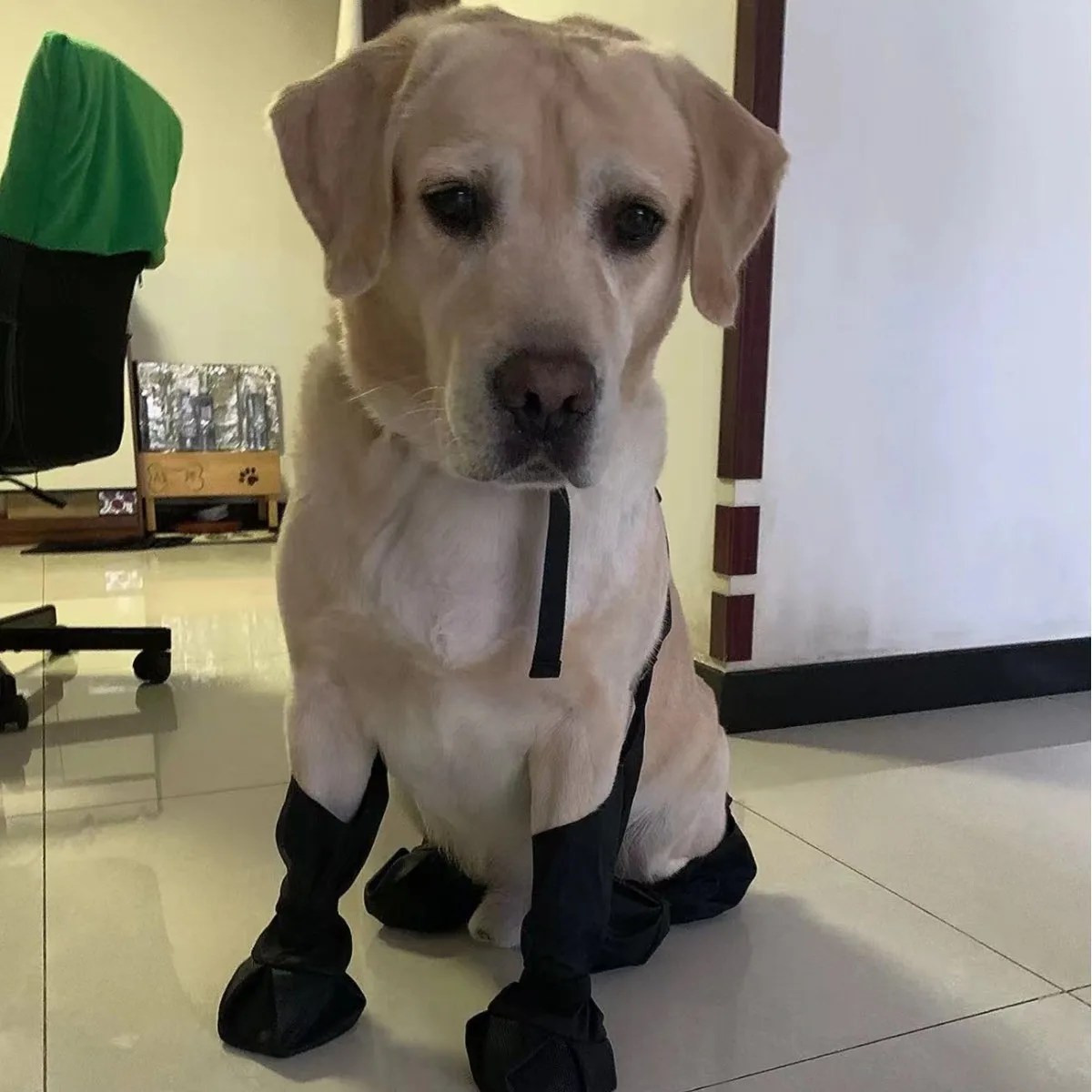 JOYPET Adjustable Collar Luxury Wholesale Pet Dogs Shoes Waterproof Non Slip Small Medium Large Pet Dog Shoes for Dogs