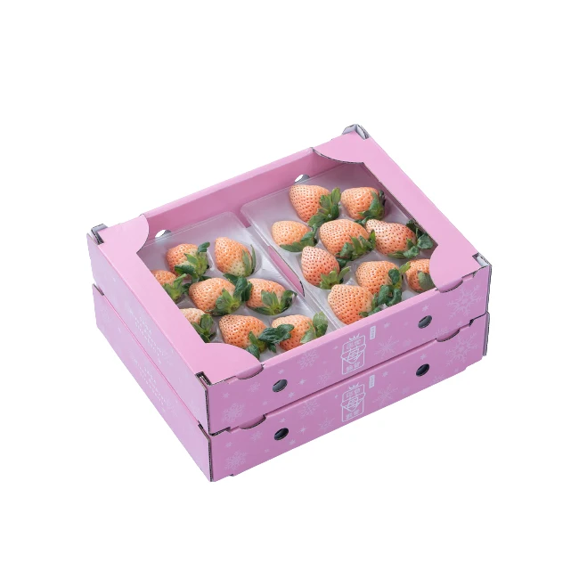 Good cost performance planters white plants pure fresh strawberry