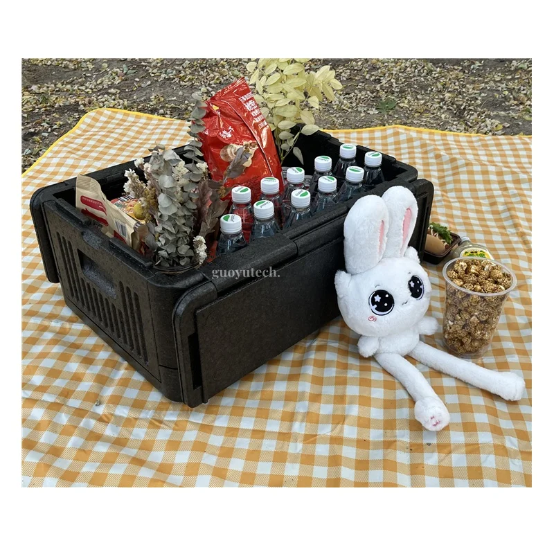 Outdoor camping Color Custom Portable Outdoor Food Delivery  Epp Foam Flip Box Cooler Box