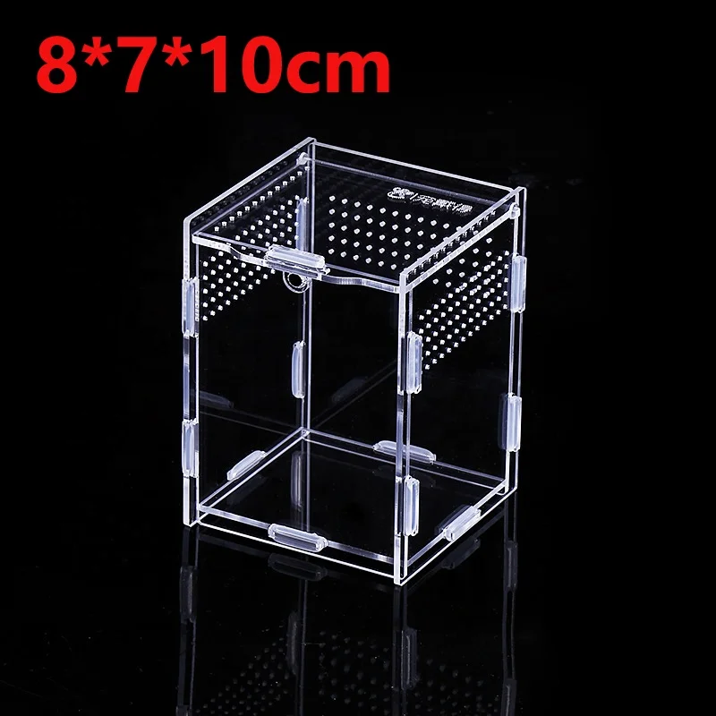 Reptile Small Plastic Feeding Box Terrarium,Reptile Travel Habitat Box For Gecko Frog Spider Snake Baby Lizard