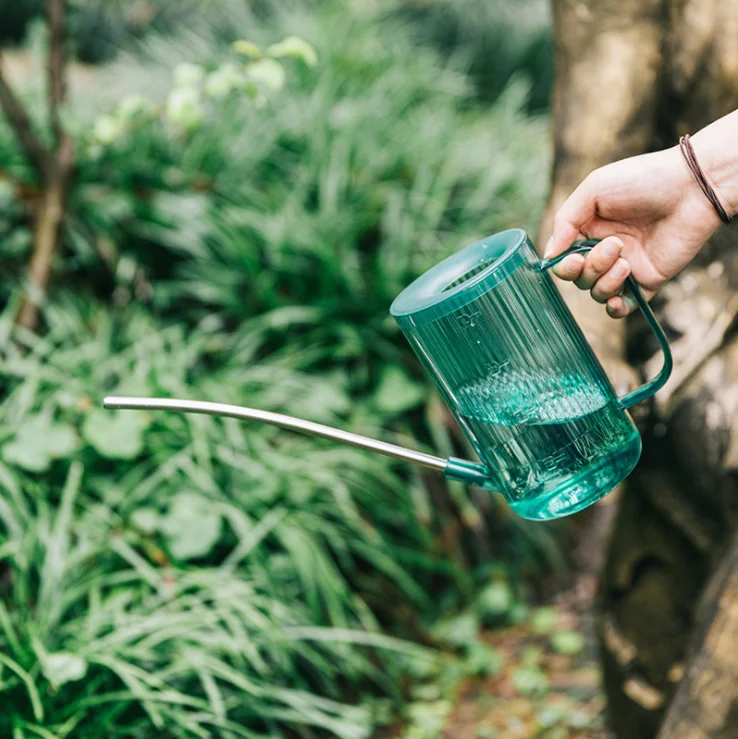 Watering Can for Indoor Plants with Long Spout Stainless Steel (Detachable)
