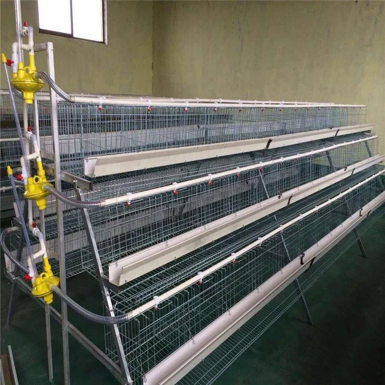 Automatic layer chicken cages with best price