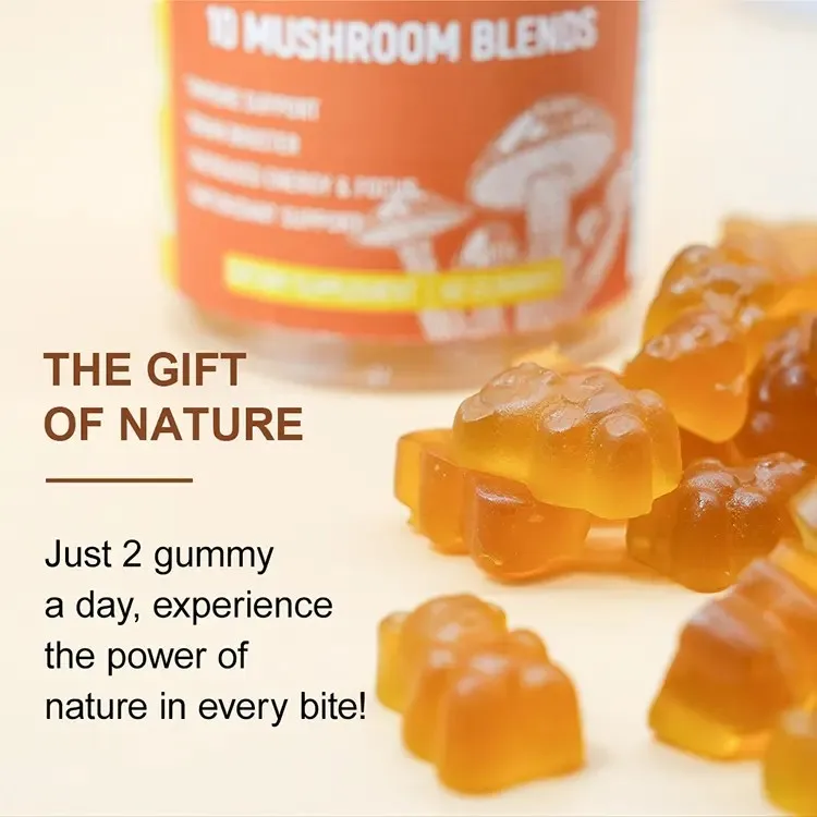 Lifegarden Oem Vegan Powerful Complex Amanita Mascaria Mushroom Supplements Private Label Mushroom Gummies Dropship