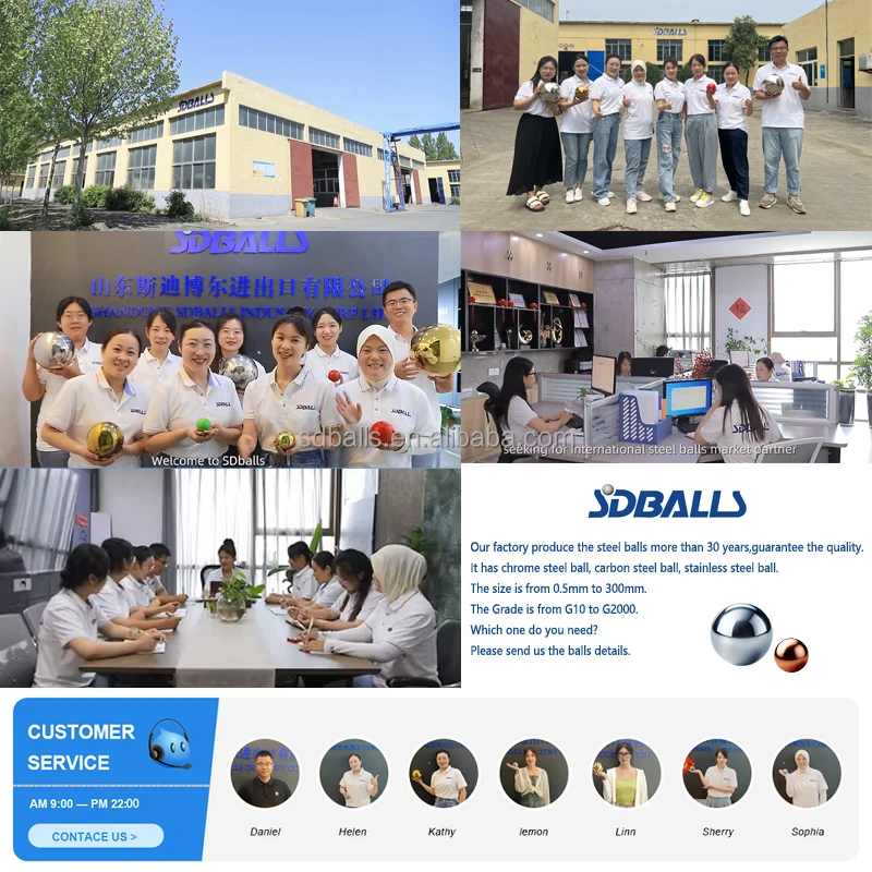 SDBALLS Diameter Size 8mm 9mm 10mm 11mm 12mm Stainless Steel Balls