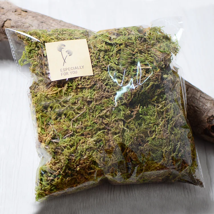 D090 Dried Moss Quality Natural Muscus Dry Musci For Dried Flower Preserved Flower Gift Box Wreath Potted Plant Wedding Decor
