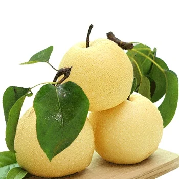 Liyuan exports a large number of fresh tribute pears, high quality and low price