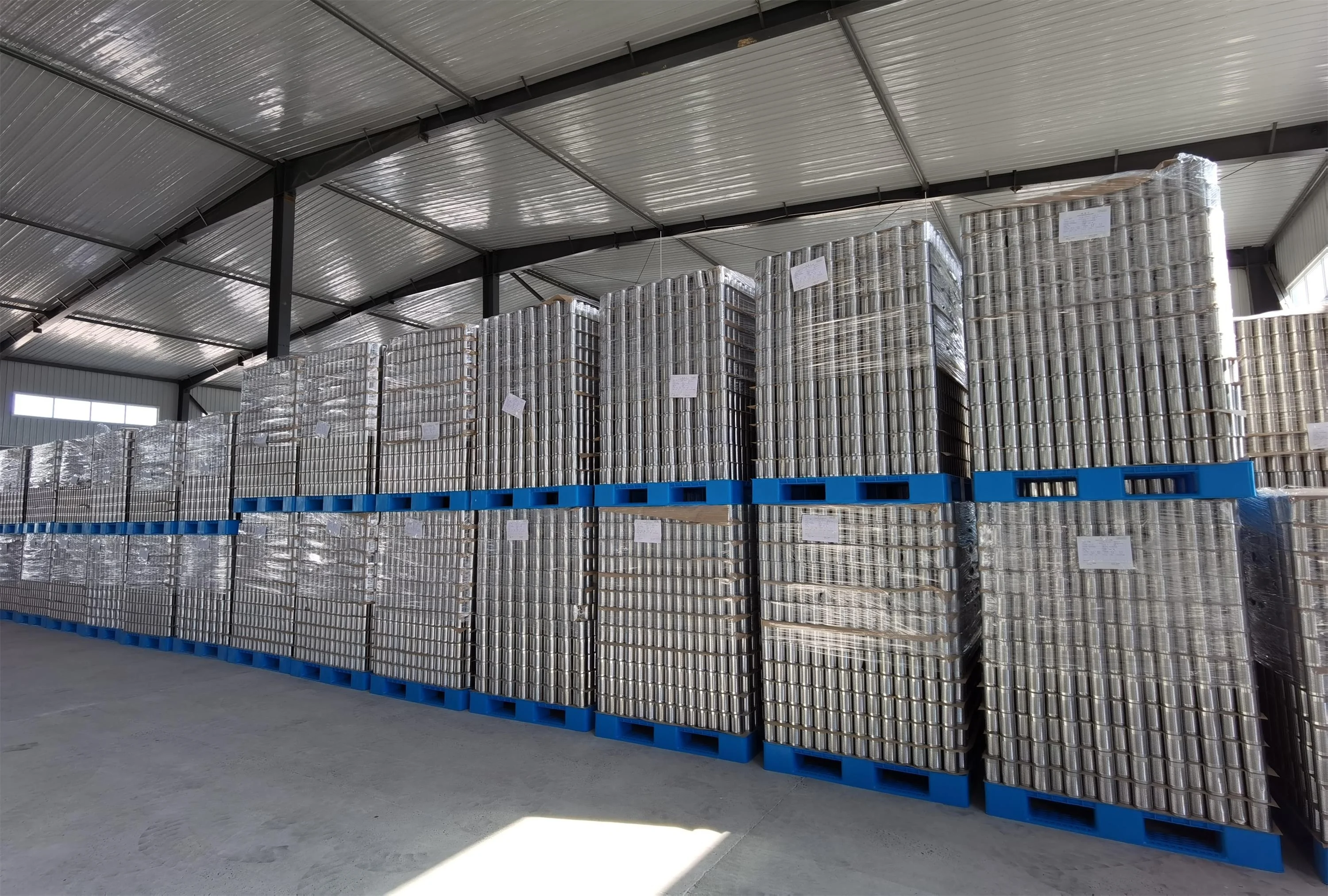 Price Canned Baby Corn in Brine Cheap Price of Fresh Canned Baby Corn