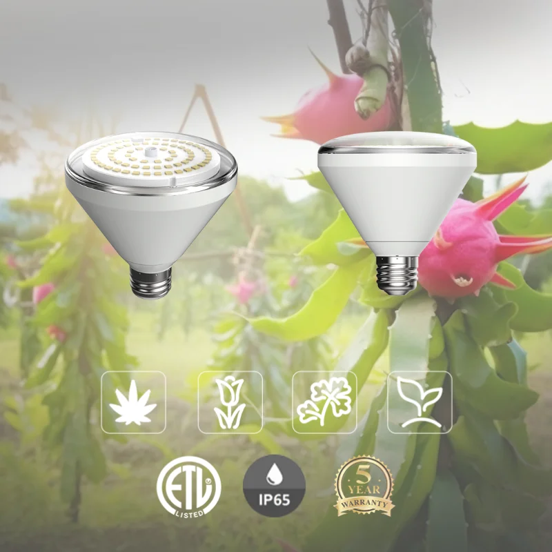 SANSI IP65 Horticulture Outdoor Pitaya Dragon Fruit Plant LED Full Spectrum Growth Lights