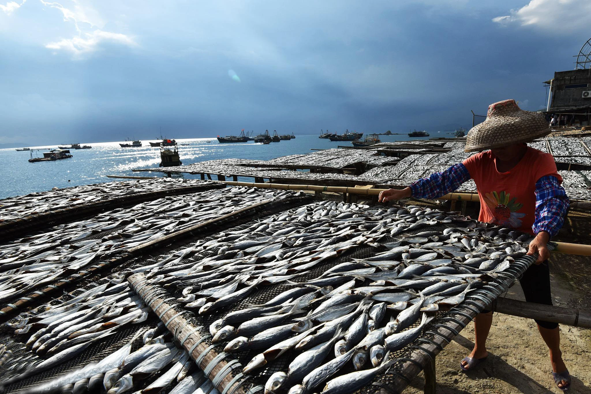 fish dryer machine meat dryer preserved fish dryer