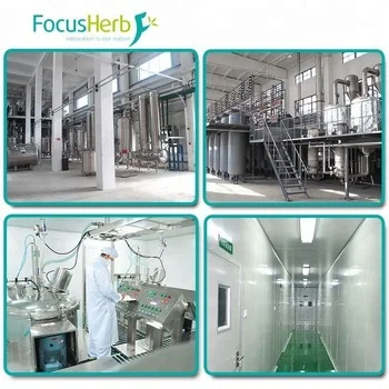 
FocusHerb Menadione Powder CAS NO. 58-27-5 Vitamin K3,Menadione 