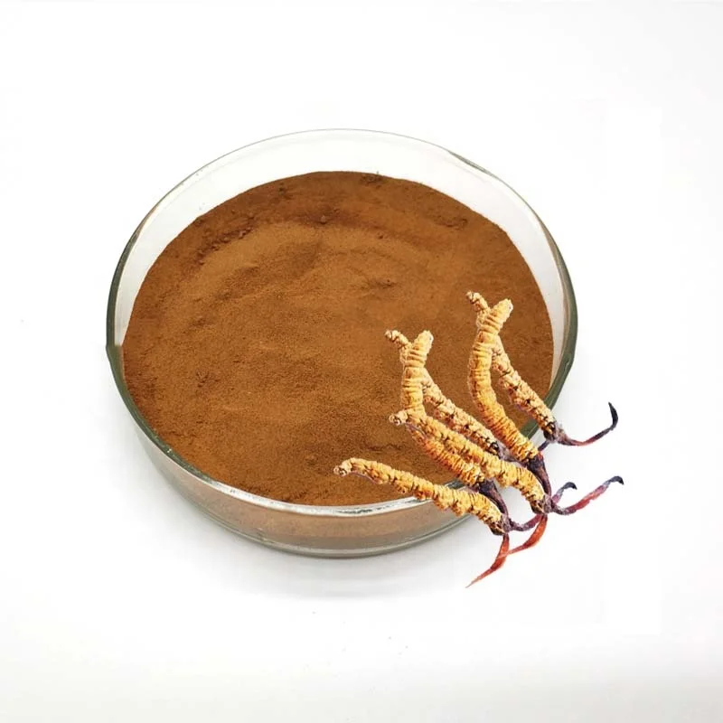 Cordyceps sinensis mycelium extract20%-40%; GMP/HACCP certificate;Cordyceps