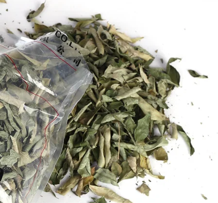 Wholesale raw natural sliced dried curry leaves for spice