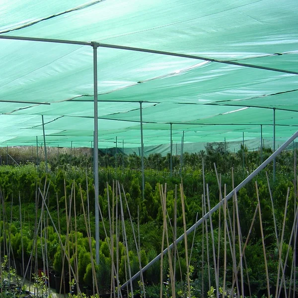 100% hdpe Raschel Shade net farming knitted cloth green shading net for greenhouse
