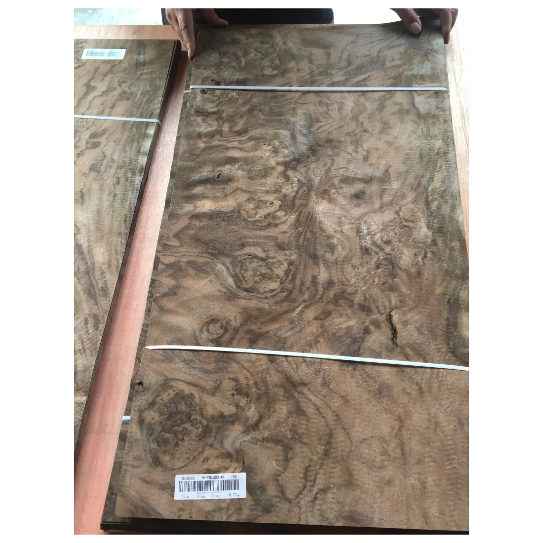 Fancy Walnut Burl Veneer for Decoration
