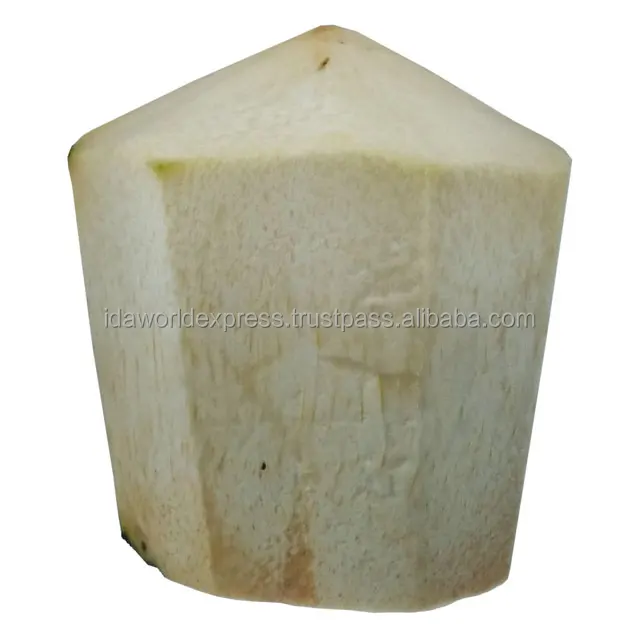 
Fresh Coconut Water In Fresh Young Coconut From Thailand Reasonable Fresh Coconut Price 