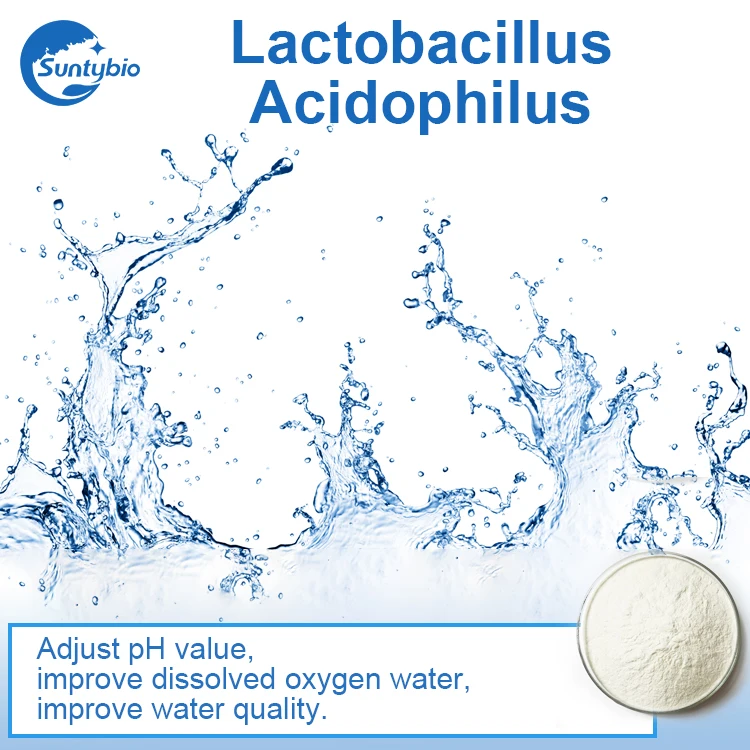 
Animal feed additives Lactobacillus Acidophilus powder 