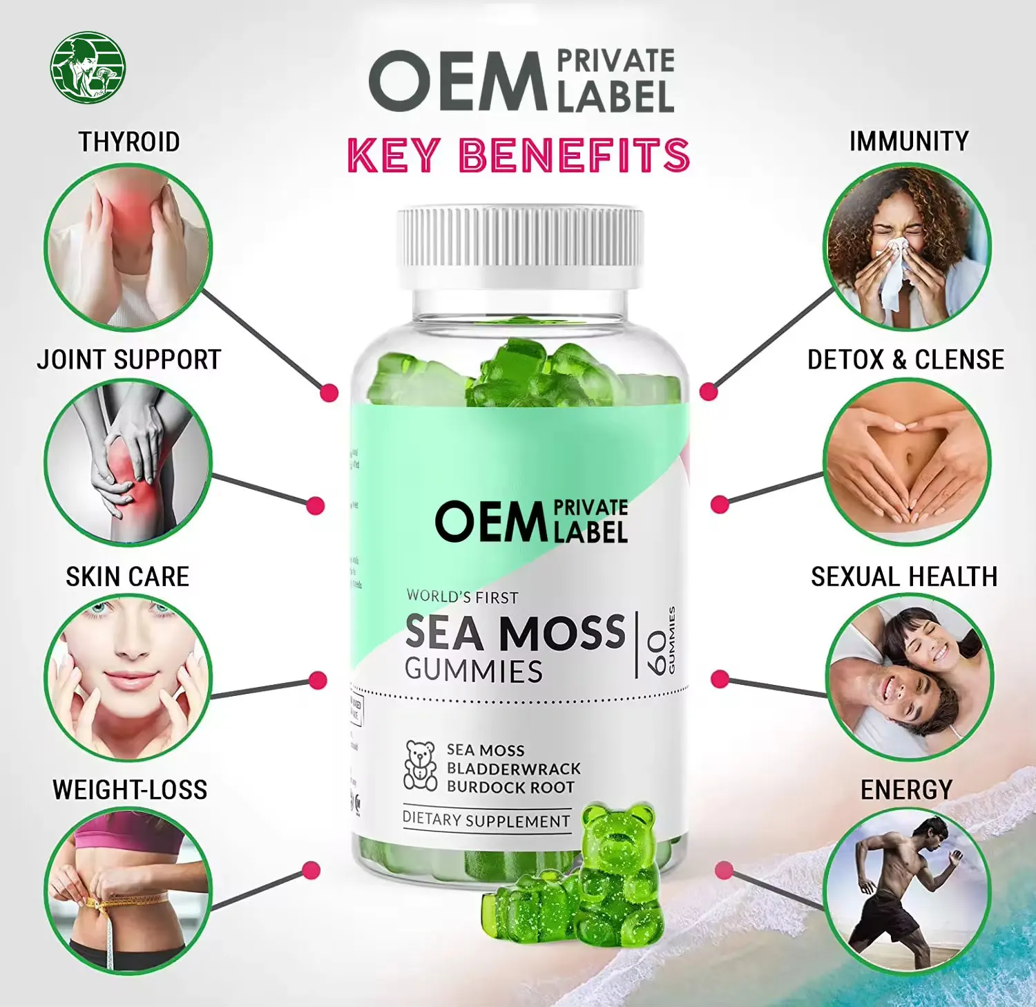 OEM  Irish Seaweed  with Black Seed Oil Immune System Seaweed Gummies Moss  Sugar Free