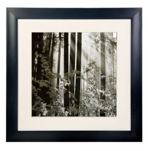 Best Western Inn Hotel Room Wall Art Used Picture Frame for Living Room Dining Bathroom Kitchen-for Sale