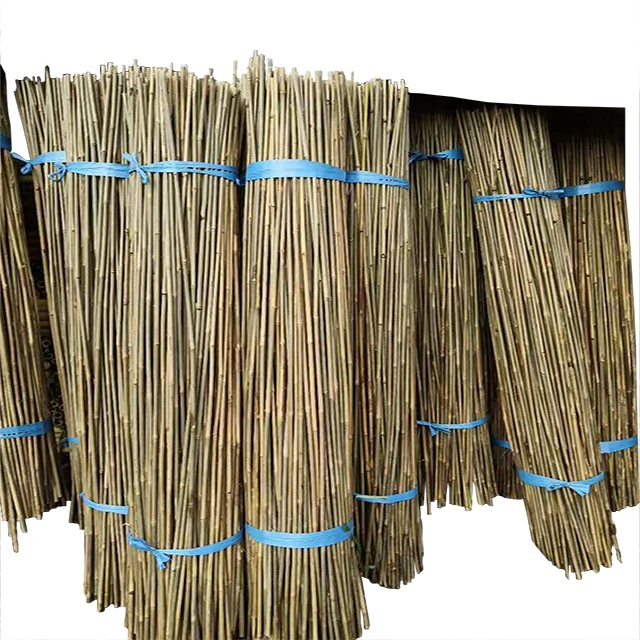 Желтые декоративные бамбуковые палочки tonkin, бамбуковые палочки для поддержки растений